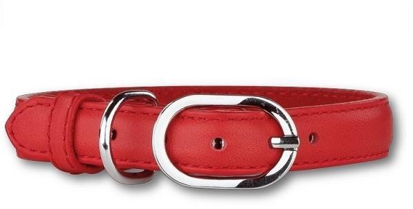 Collier pour chien rouge éclat
