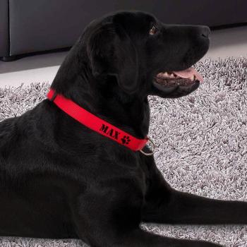 Collier personnalisé pour chien - Noir - M