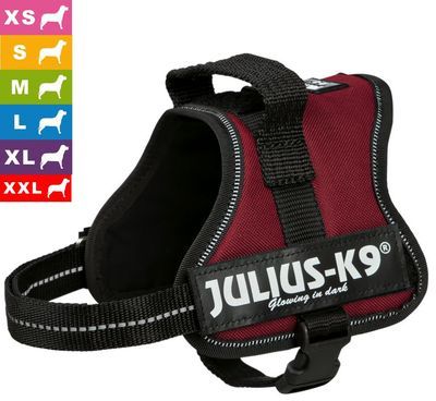 Harnais Julius-K9 Power, bordeaux - taille Mini-Mi