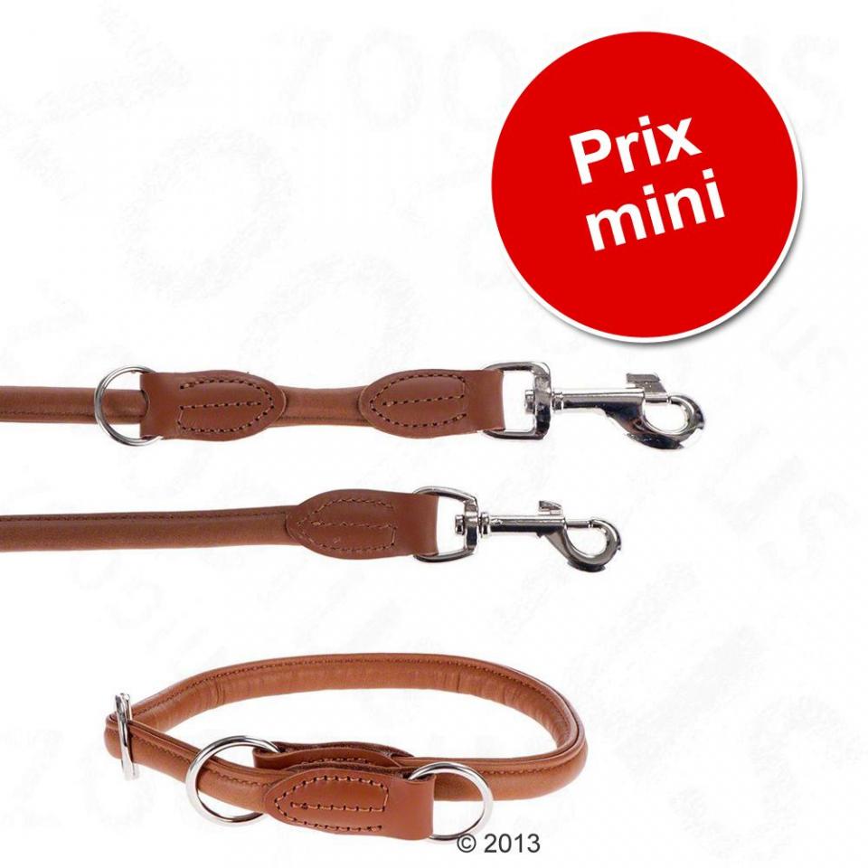 Lot Hunter Round & Soft : collier + laisse cognac