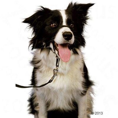 Licol HALTI taille 3 noir pour chien