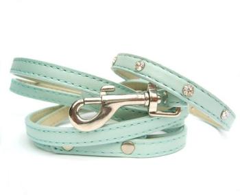 Collier et laisse pour petit chien Baby Blue