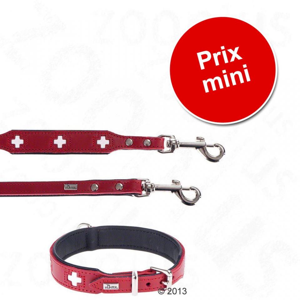 Lot Hunter Swiss : collier + laisse en cuir pour c