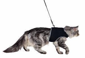 Harnais soft avec laisse pour grand chat