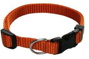 Capac Collier Nylon Uni Réglable Rex Orange 15mm x Capac Collier Nylon Uni Réglable