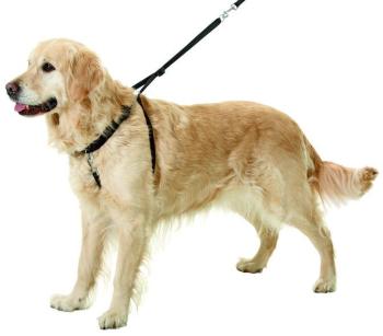 Harnais déducation pour chiens Easy Walker Taille