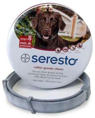 Seresto collier grand chien (8Kg)