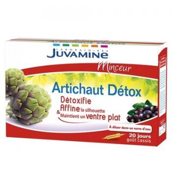 Arkopharma C4321 Aide minceur - (Got:Cassis ) Arkopharma C4321 Aide minceur - (Got:Cassis )