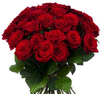 Compositions de roses TENDRESSE Bouquet de 50 Roses Compositions de roses TENDRESSE