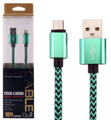 Câble Data USB Renforcé Rigide Lightning Vert Tres