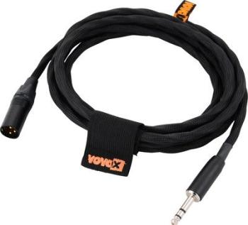 Link direct S100 TRS/XLRm