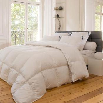 Couette Naturelle 300GR 90 Duvet D Oie 10 Plumettes Couette Naturelle 300GR 90