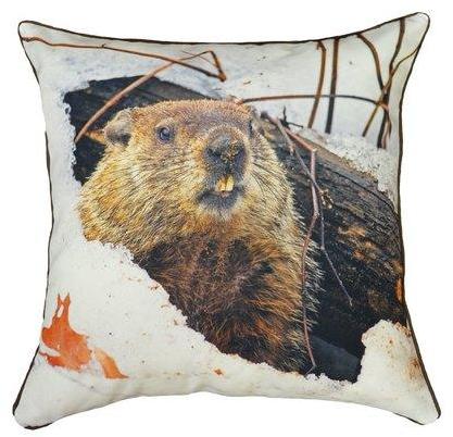 Coussin imprimé marmotte
