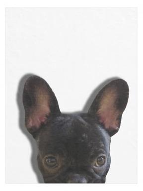 Bouledogue français semi-transparent Couverture Po