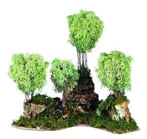 Bosquet avec arbres - 20 cm