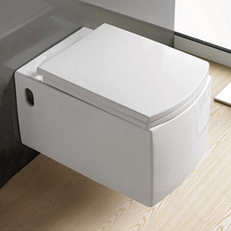 WC Suspendu, 58x38 cm, Blanc, avec Abattant, Profi