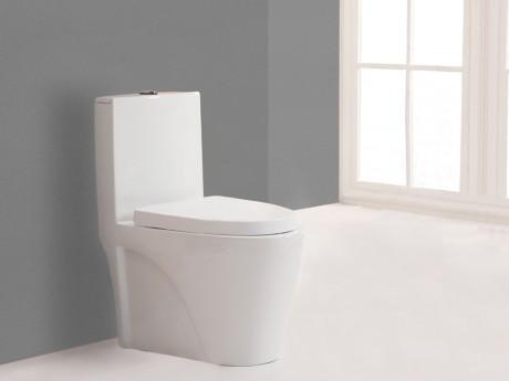 WC posé DAIKI II avec abattant silencieux - blanc WC posé DAIKI II avec abattant