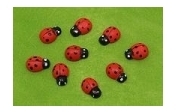 Coccinelles adhésives