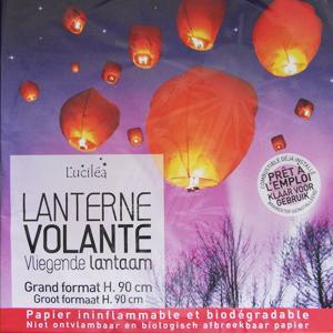 Lanterne Discount Luciléa