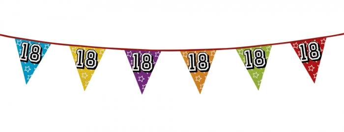 Guirlande anniversaire 18 ans holographique