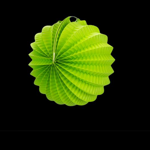 Lampion rond 20 cm Vert