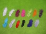 20 plumes décoration (divers coloris)