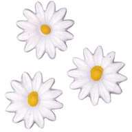 Motif en cire Marguerites 2 5 cm Motif en cire Marguerites