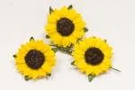 Tournesols x 12