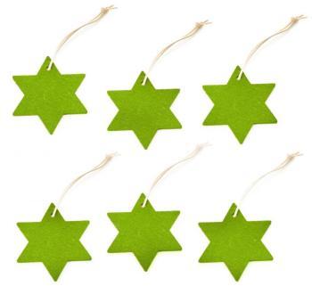 Christmas Ornament Star 6 pieces - vert