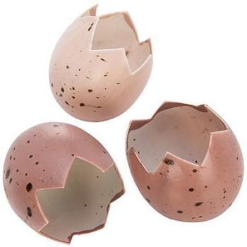 Coquilles d ufs 5 x 4 cm 8 pièces Coquilles d ufs 5 x 4 cm 8