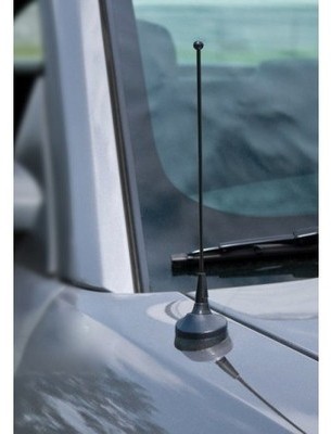 Mustang 05-09 Antenne noire 8 pouces Mustang 05-09 Antenne noire