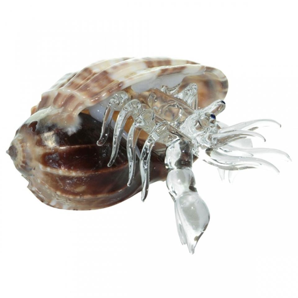 Bernard lhermite en cristal dans un coquillage ha