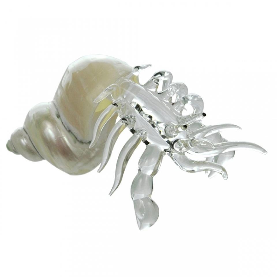 Bernard lhermite en cristal dans un coquillage tu