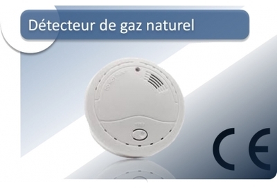 Détecteur de Gaz Naturel RM400 ELRO