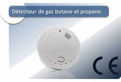 Détecteur de Gaz Butane Propane