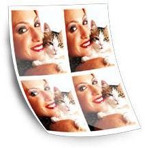 Photo portefeuille