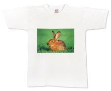 T-Shirt enfant (Taille 110/116)