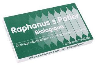Db Pharma - Raphanus-S Potier Bio 12 ampoules buva