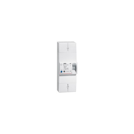 Disjoncteur Branchement 2P 15/45A 500MA Sélectif L