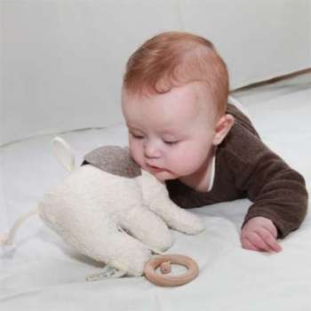 Doudou Boite à Musique éléphant Coton Organic Bio Elephant Doudou Boite à Musique éléphant