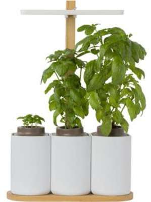 Jardin d intérieur Pret A Pousser Smart LILO Recharge Jardin d intérieur Pret A
