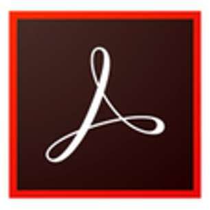 Adobe Acrobat Pro DC for Enterprise - Nouvel abonn