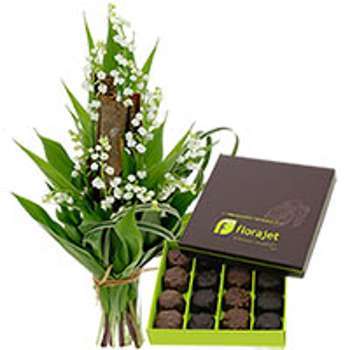 EVASION CHOCOLATS EVASION CHOCOLATS
