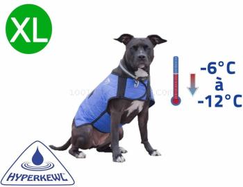Manteau rafraîchissant pour chien HyperKewl Techni