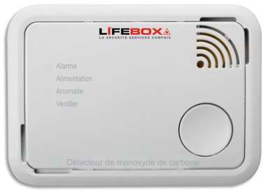Le monoxyde de carbone est un gaz inodore incolore Le monoxyde de carbone est