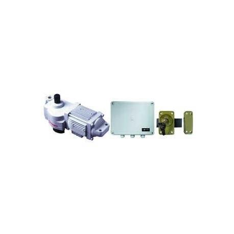 Motorisation à bras pour portail battant SOMFY PAC