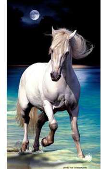 Serviette de plage Cheval 90x170 cm Serviette de plage Cheval