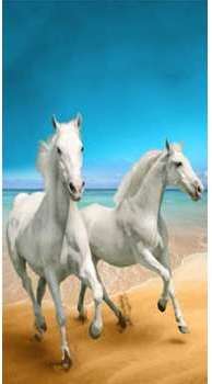 Serviette de plage Chevaux plage 95x175 cm Serviette de plage Chevaux
