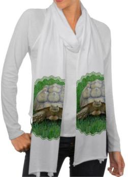 Tortue Écharpe