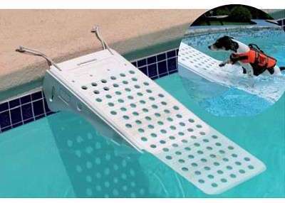 RAMPE DE PISCINE POUR CHIEN